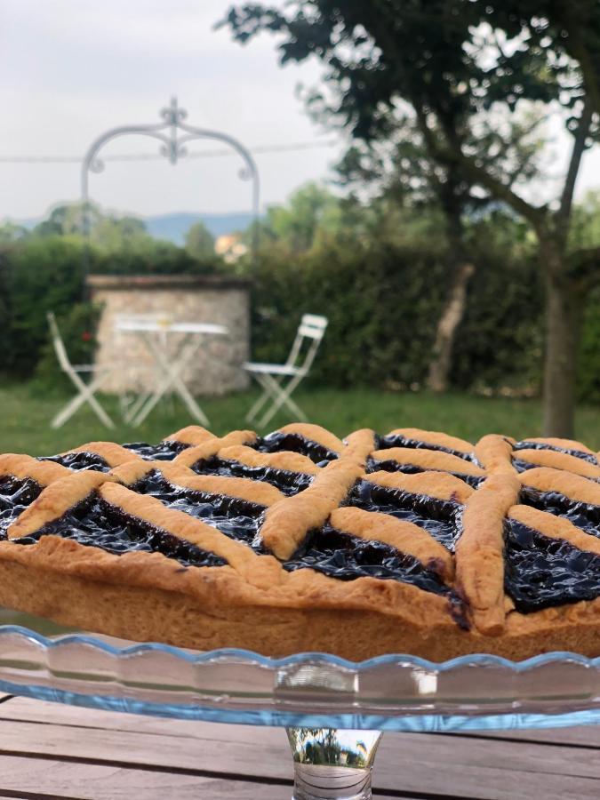 Villa Casale Viridi - Nel Fresco Delle Colline Umbre Narni Exterior foto