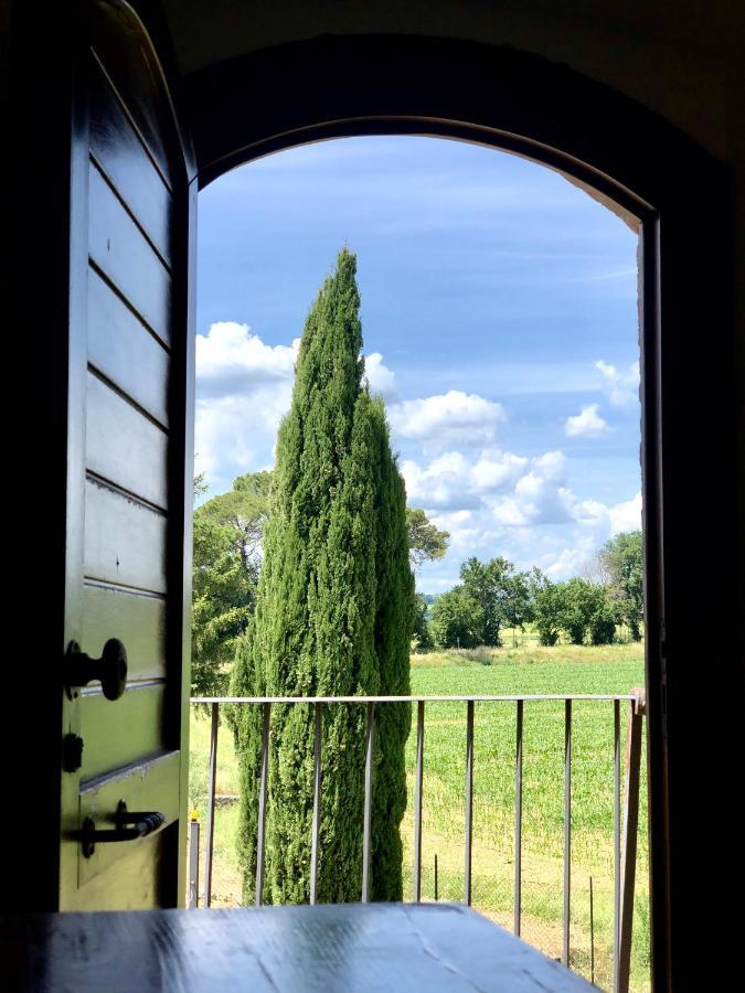 Villa Casale Viridi - Nel Fresco Delle Colline Umbre Narni Exterior foto